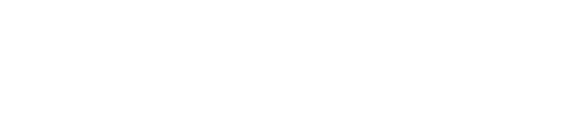Worldwide BOR-X